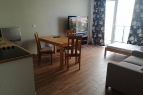 Komfortowy apartament dla turystów i pracowników
